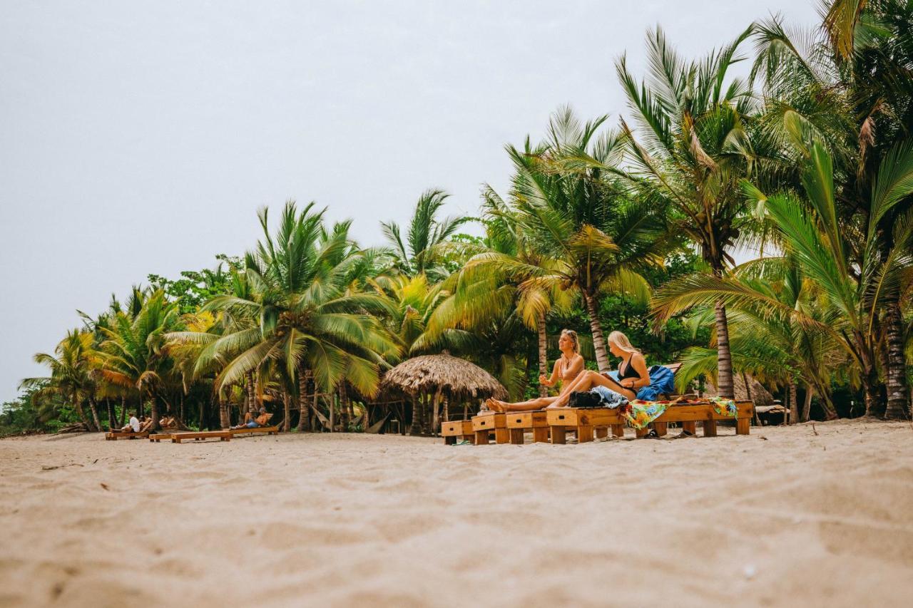 Viajero Tayrona Hostel & Ecohabs Buritaca Luaran gambar