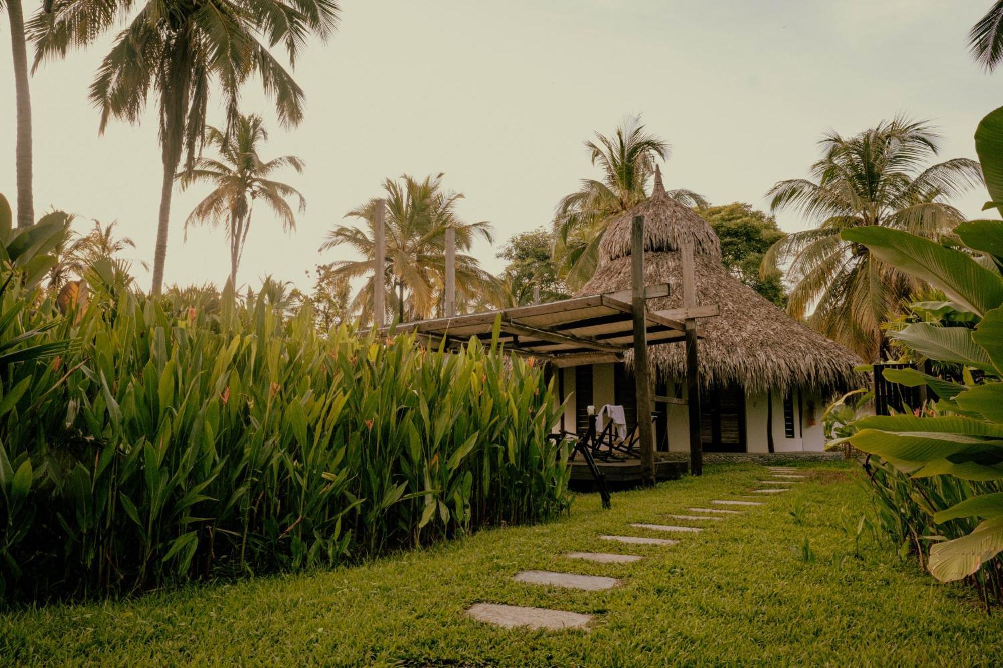 Viajero Tayrona Hostel & Ecohabs Buritaca Luaran gambar